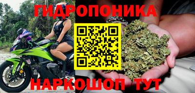 твердый Новодвинск