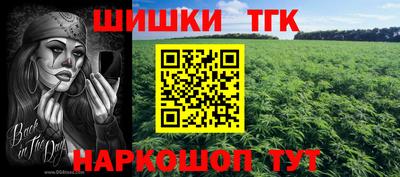 СК Новокубанск