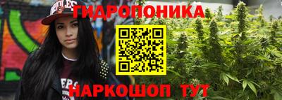 мдма Новозыбков