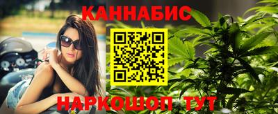 СК Новокубанск