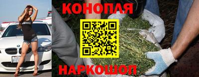 мдма Новозыбков