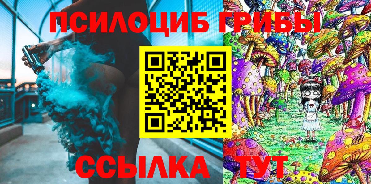 Галлюциногенные грибы Psilocybe Реутов
